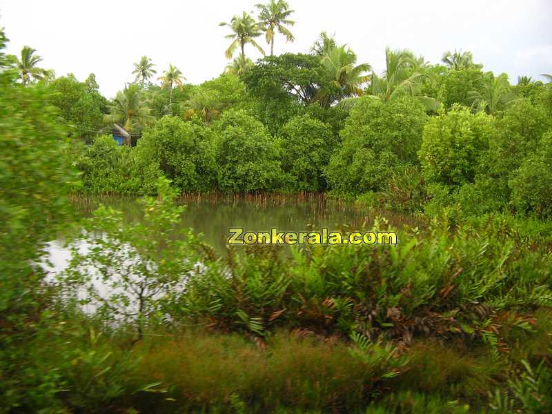 Kerala Scenaries