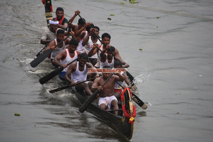 Payipad boat race pic7