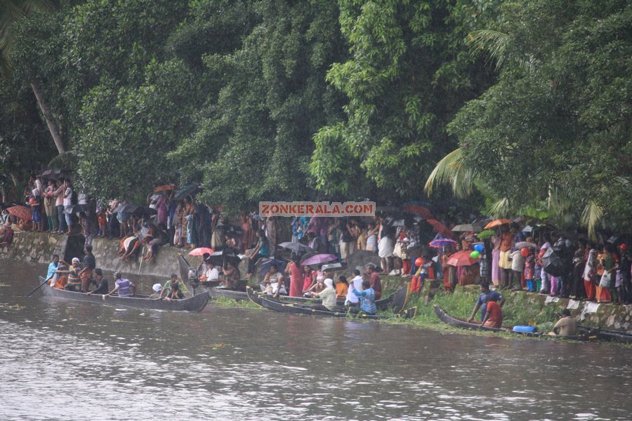 Payippad boat race picture 4