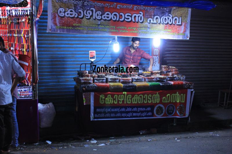 Vrischikotsavam shops tripunithura temple 8 946