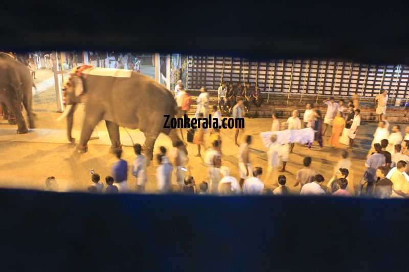 Vrischikotsavam tripunithura temple 3 388