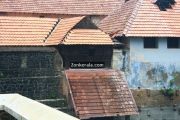 Padmanabhapuram palace backyard 5