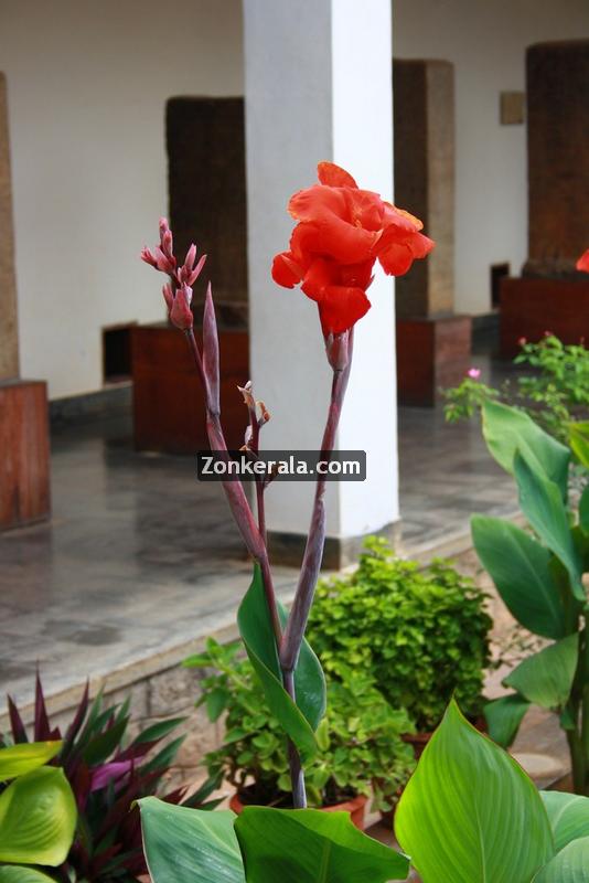 Padmanabhapuram palace museum 16