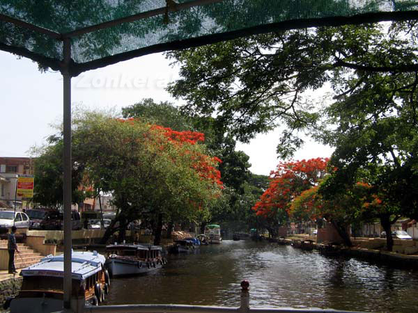 Alappuzha town river 6144