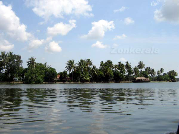 Houseboat and trees 6115