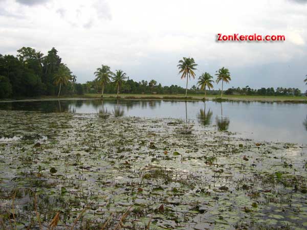 Veeyapuram 4177