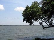 Vembabadu lake 6087