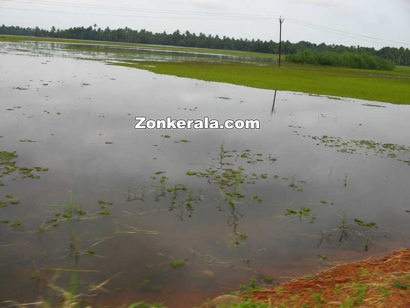 Water in fields