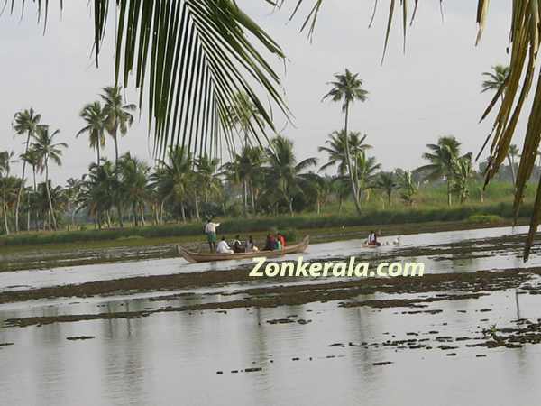 Ayamkudi