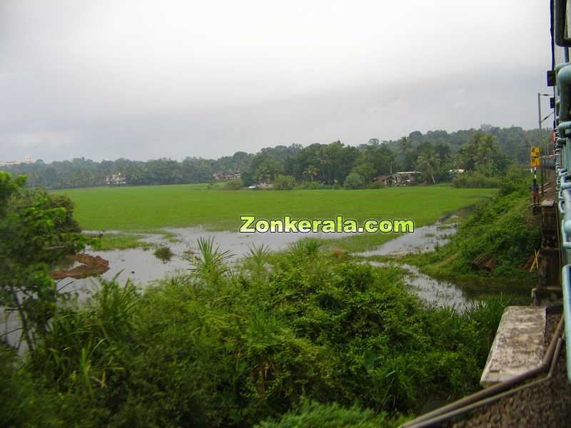 Kerala view from train