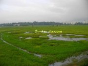 Kottayam town view from fields