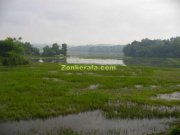 Water filled paddy fields