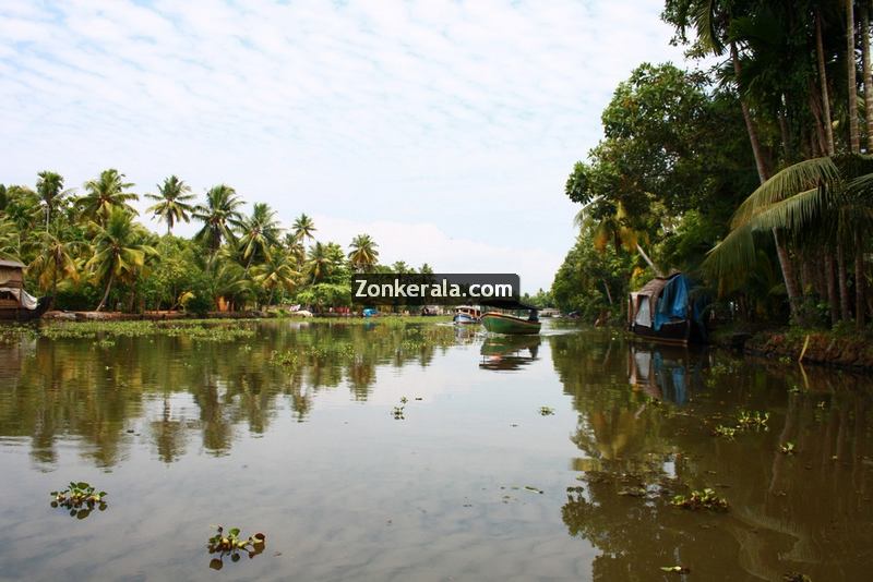 Kumarakom lake photos 1