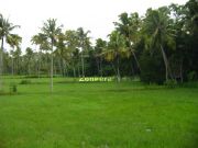 Beauty of kerala