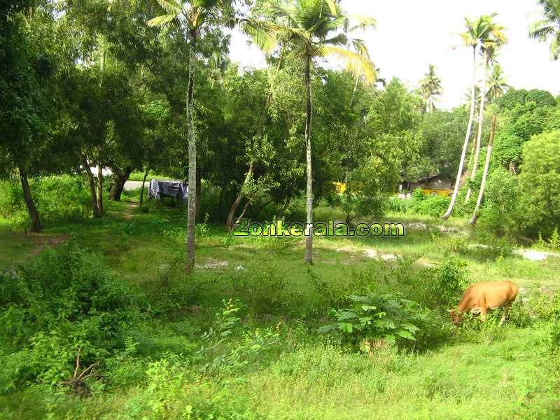 Cherthala good view