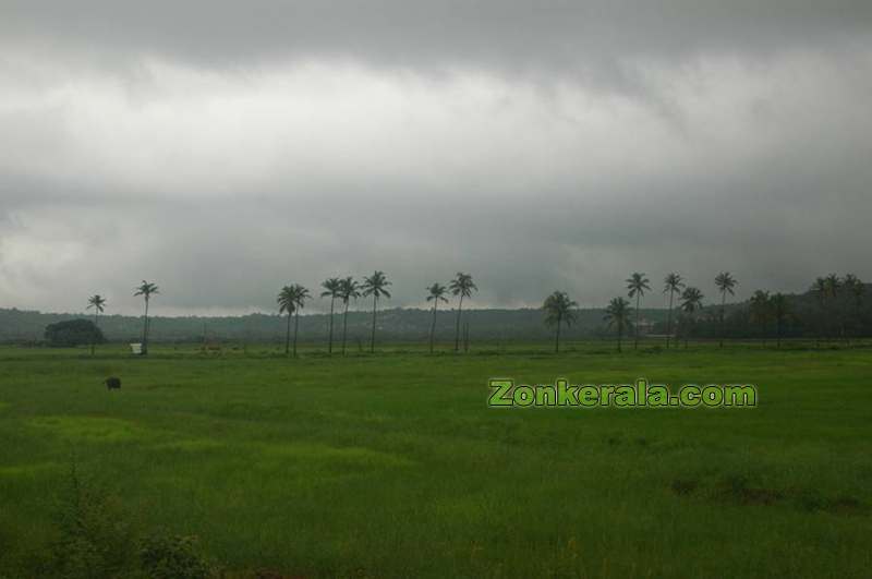 Cloudy skies above kerala fields