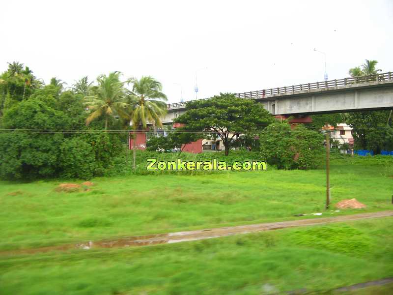 Green beauty kerala