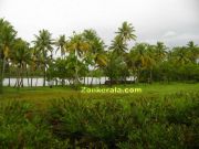 Kerala nature beauty