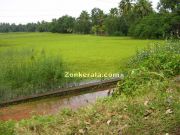 Kerala rainy season