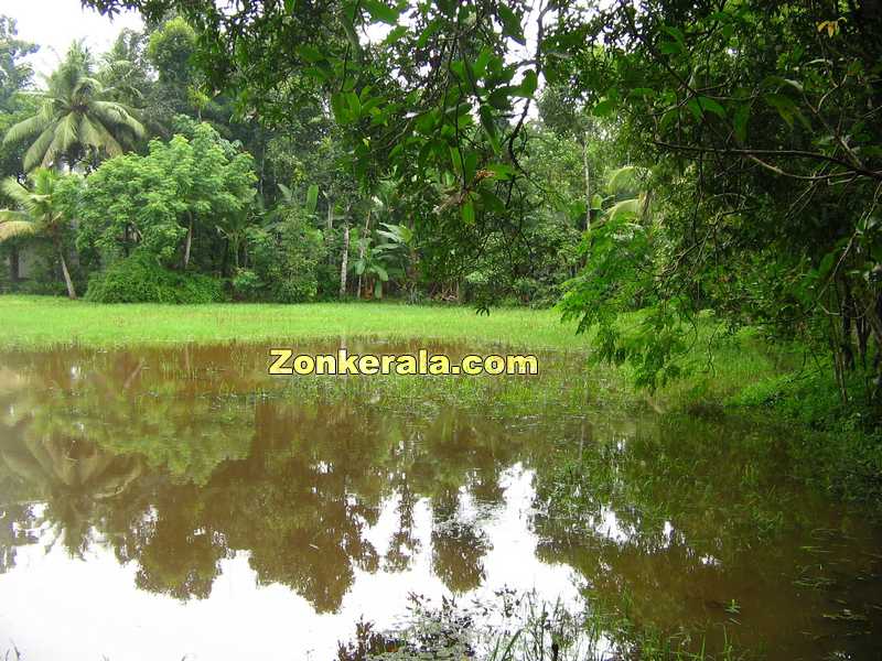 Paddy fields under water