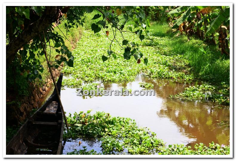 Small boat through canals