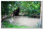 Small pond overflowing with water