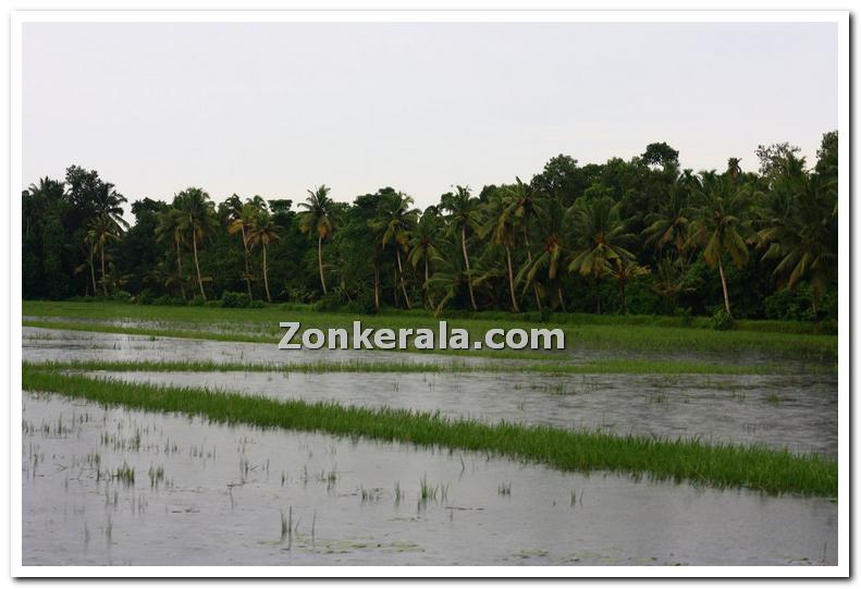 Veeyapuram during rains