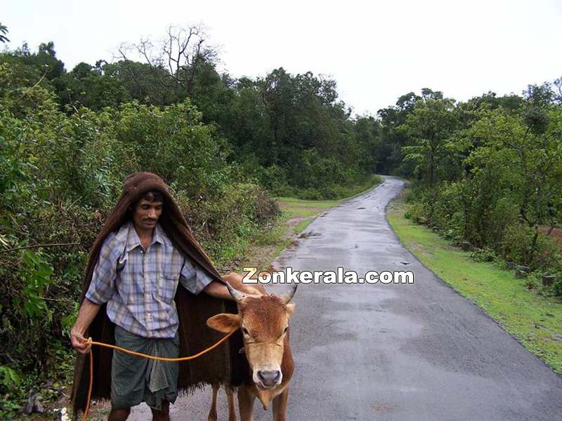 Villager with his cow