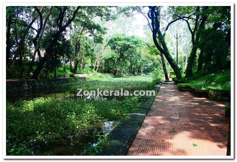 Walkway near canal