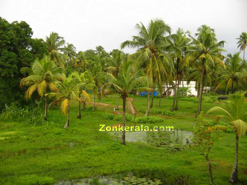 Water filled ponds