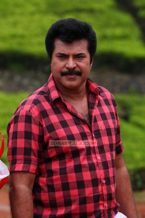 Mammootty Stills 3919