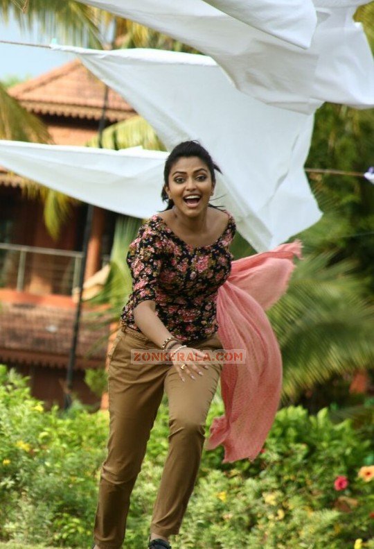 Malayalam Actress Amala Paul Photos 4778