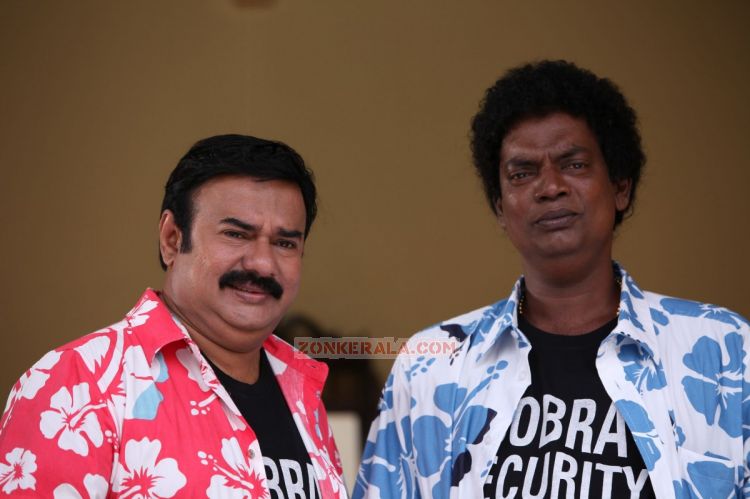 Manianpillai Raju And Salim Kumar In Cobra 519