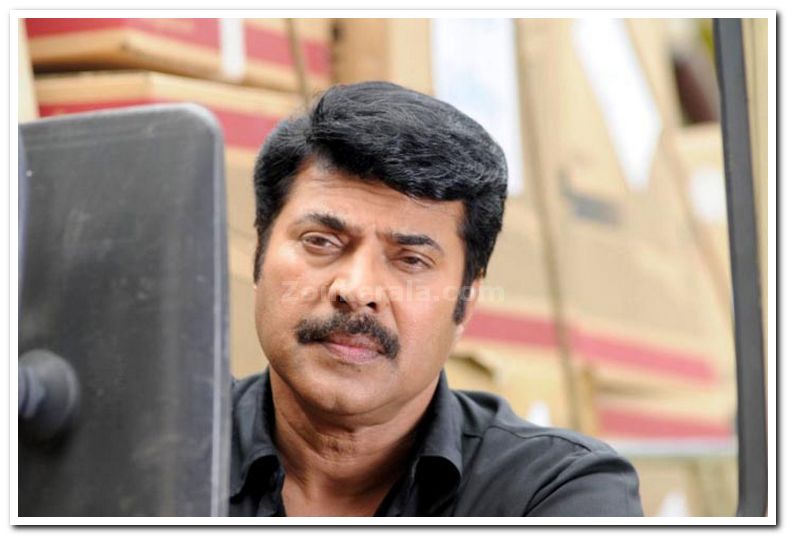 Mammootty Photo 6