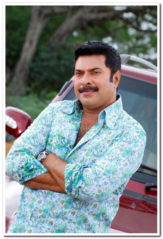 Mammootty Still