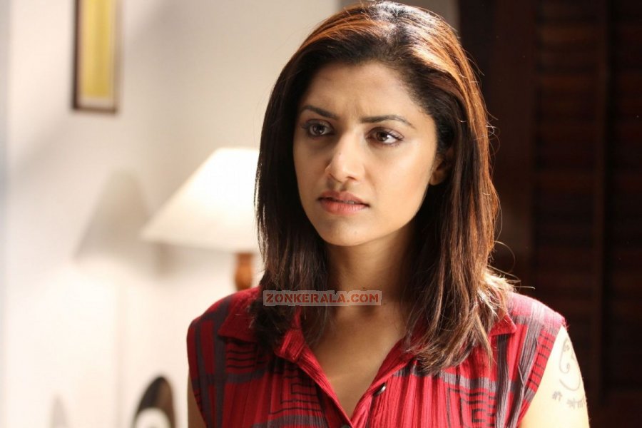 Mamtha Mohandas In My Boss 978