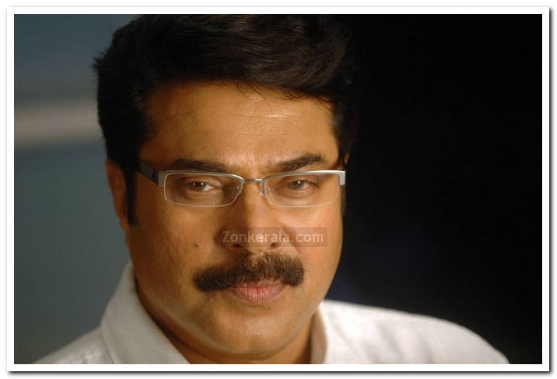 Mammootty Still 12