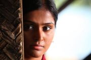 Remya Nambeesan 491