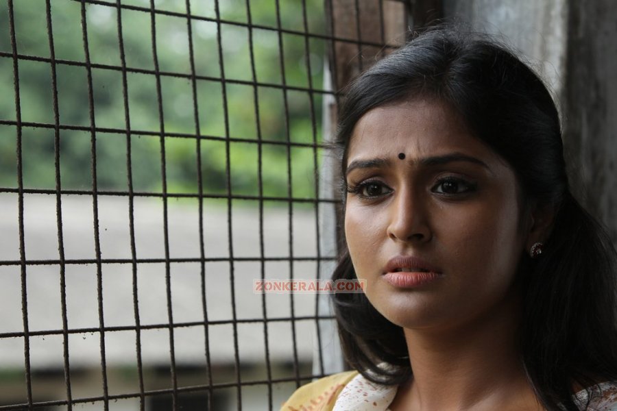 Remya Nambeesan In Pigman 350