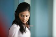 Priyamani In The True Story Movie 676