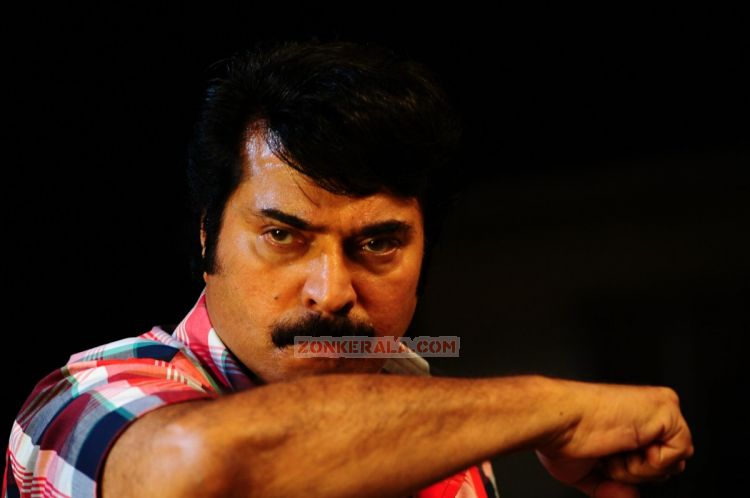 Super Star Mammooty 538