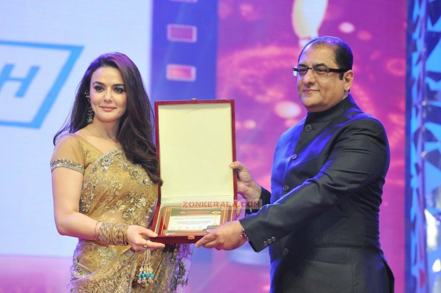 Asiavision Movie Awards 2013 Photos 3742