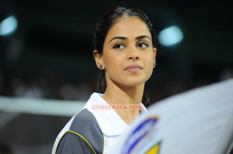 Genelia Dsouza At Ccl 2 134